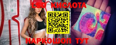 индика Брянск