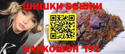 индика Брянск