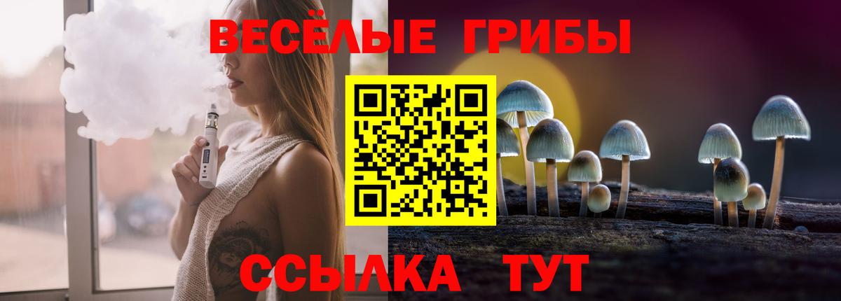 где можно купить   Вход с VPN  Псилоцибиновые грибы MAGIC MUSHROOMS  Коркино  Псилоцибиновые грибы GOLDEN TEACHER 